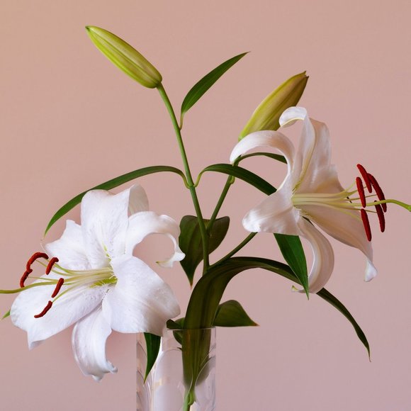 Meet your Posher, Na - Picture 1 of 1